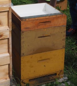 Varroa-Tag am Lehrbienenstand Silberberg