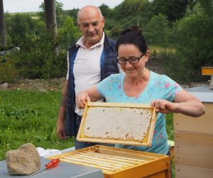 Varroa-Tag am Lehrbienenstand Silberberg