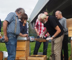 Varroa-Tag am Lehrbienenstand Silberberg